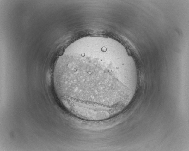 X0000115030026200911161516