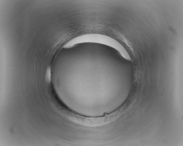 X0000115030027200911161516