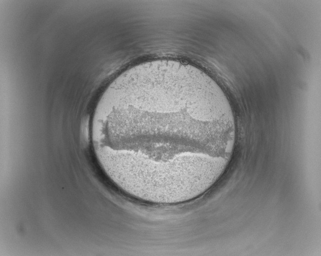 X0000115030028200911161516