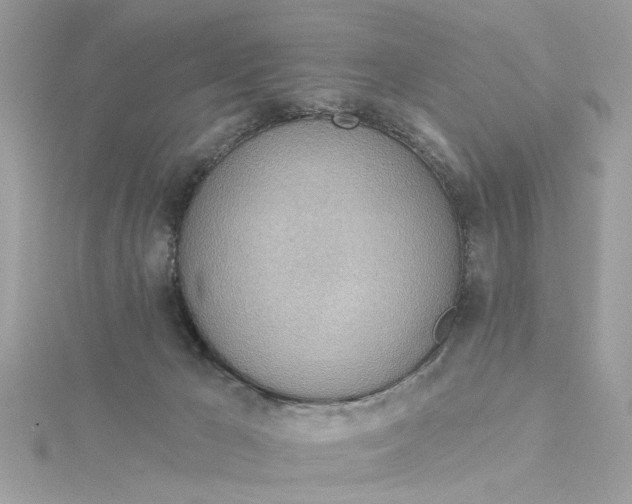 X0000115030029200911161516