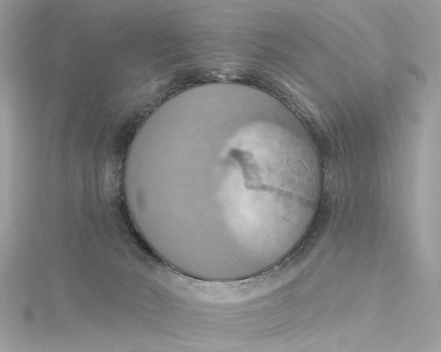 X0000115030030200911161516