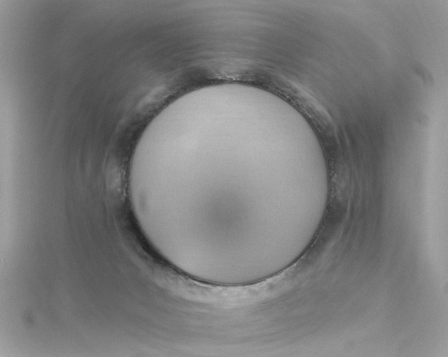 X0000115030031200911161516