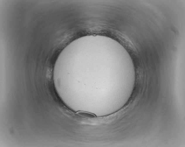 X0000115030033200911161516