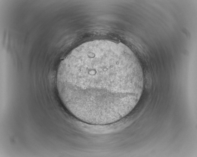 X0000115030034200911161516