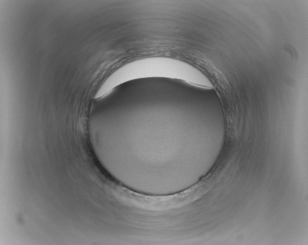 X0000115030035200911161516