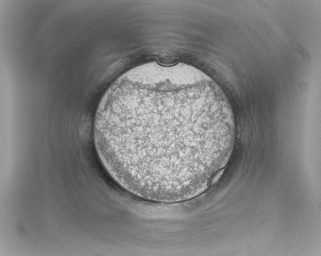 X0000115030036200911161516