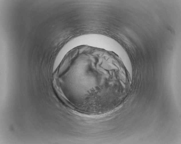 X0000115030039200911161516