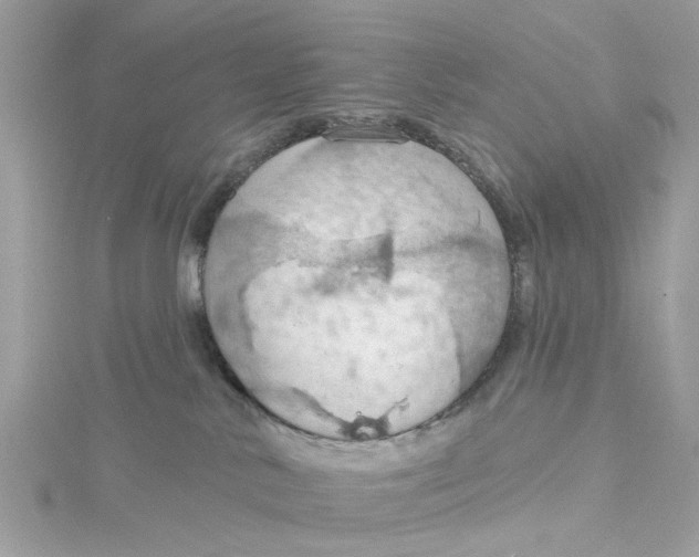 X0000115030042200911161515