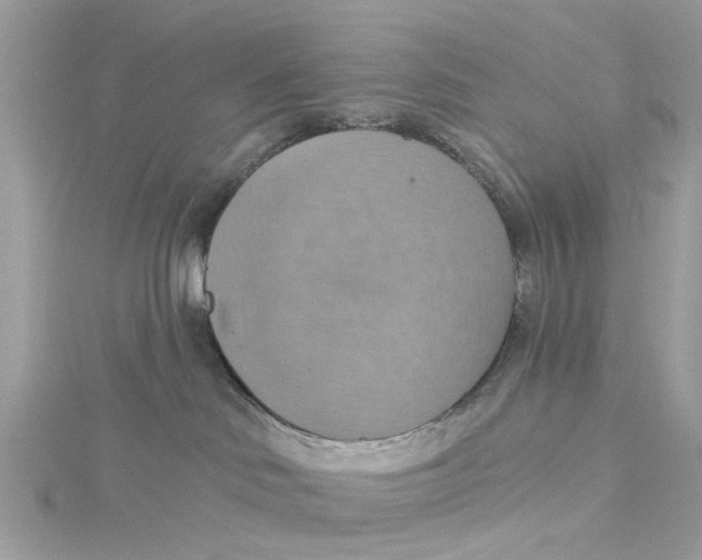 X0000115030046200911161515