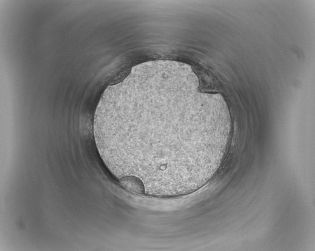 X0000115030048200911161515