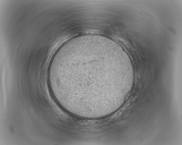 X0000115030049200911161515