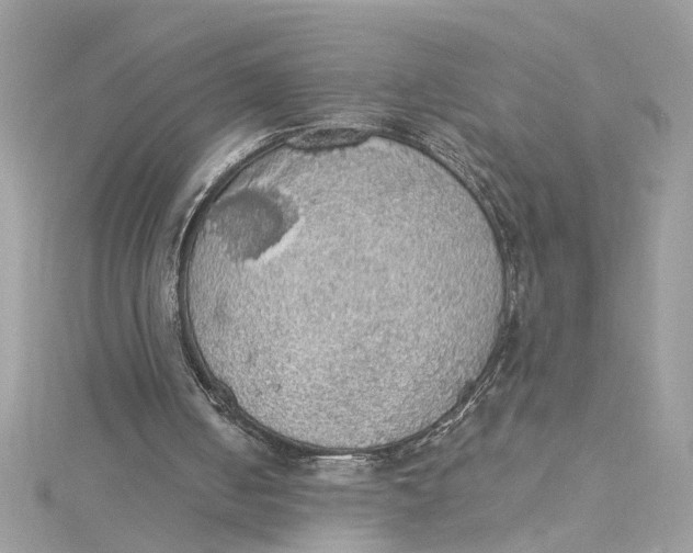 X0000115030050200911161515