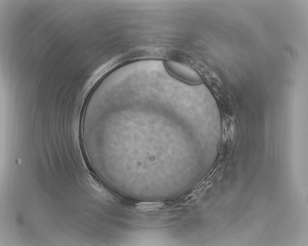 X0000115030051200911161515