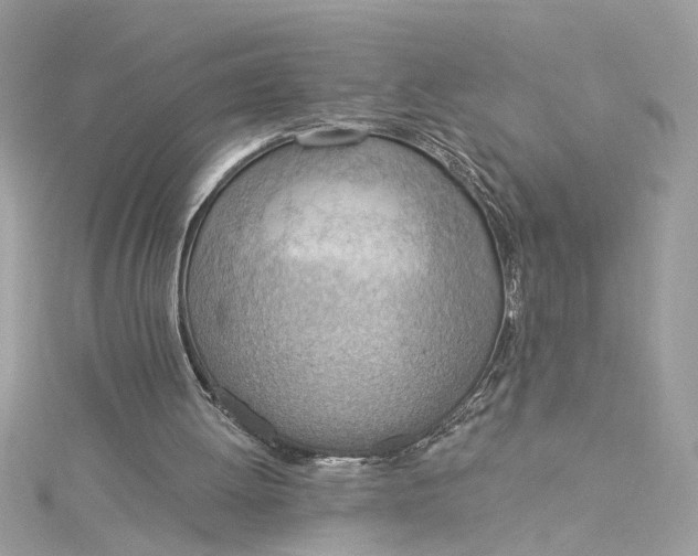 X0000115030052200911161515