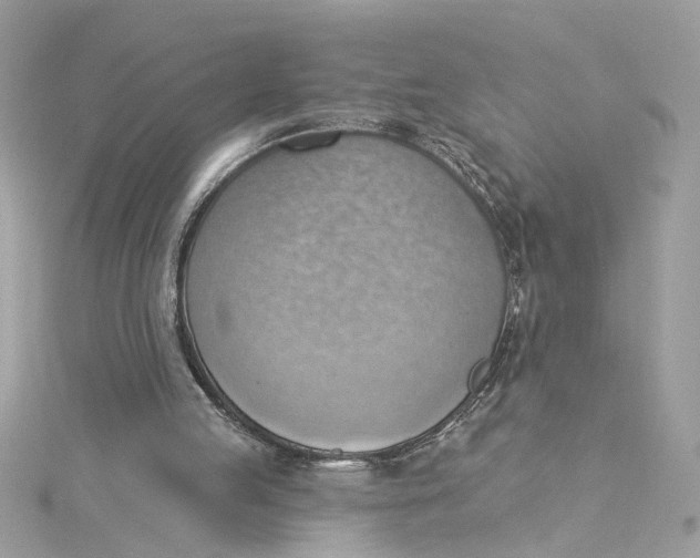 X0000115030053200911161515