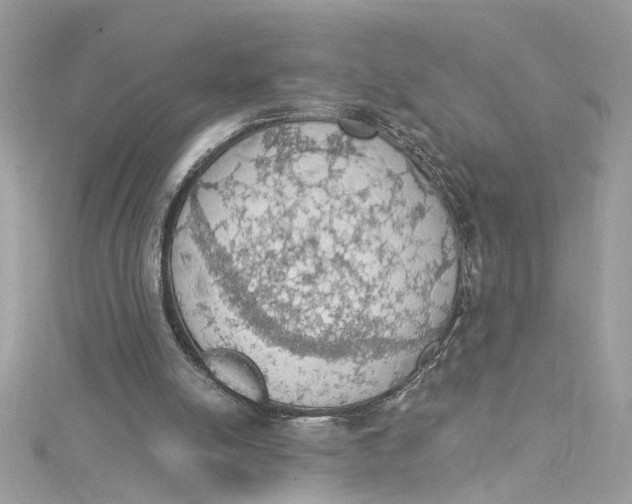 X0000115030054200911161515