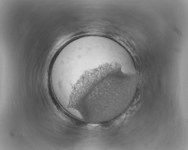 X0000115030055200911161515