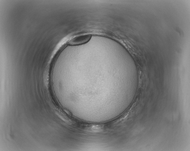 X0000115030056200911161515