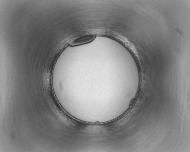 X0000115030057200911161515