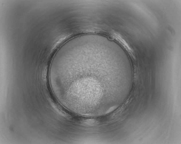 X0000115030058200911161515