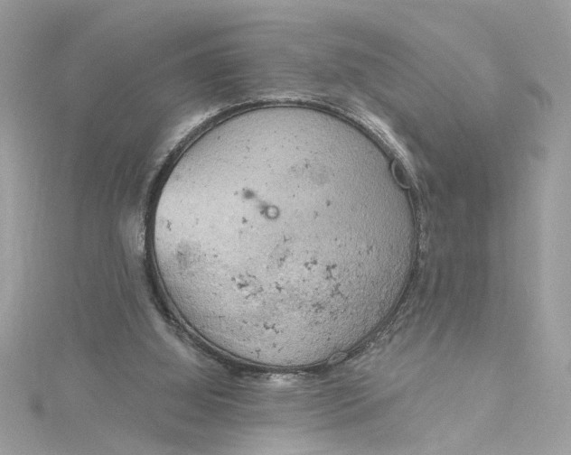 X0000115030060200911161515