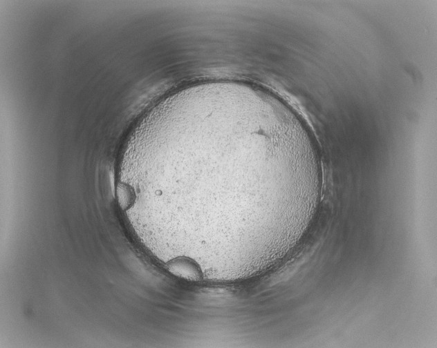 X0000115030061200911161515