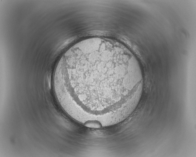 X0000115030062200911161515