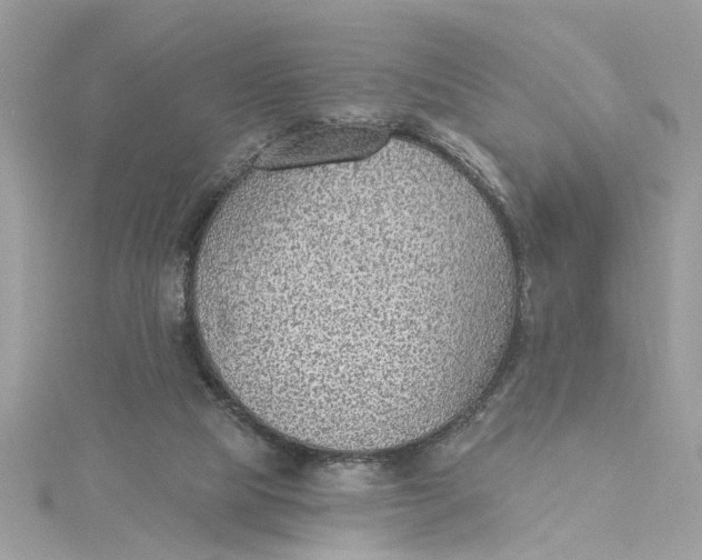 X0000115030065200911161515