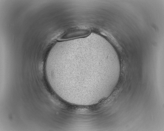 X0000115030066200911161515