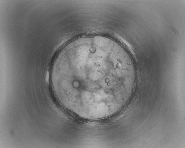 X0000115030067200911161515