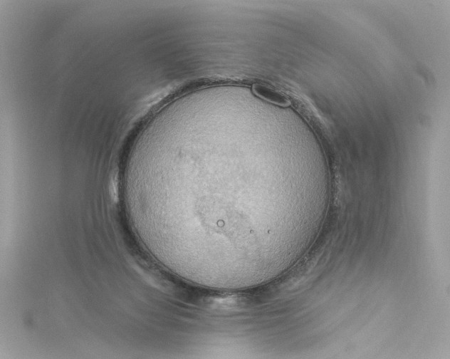 X0000115030068200911161515