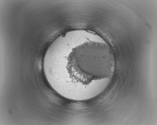 X0000115030069200911161515