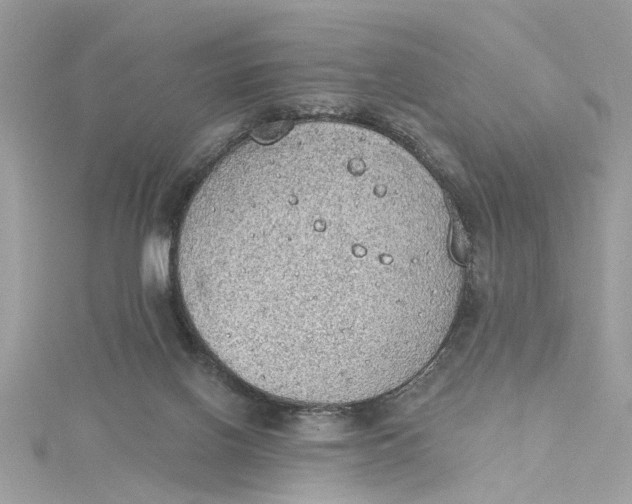 X0000115030070200911161515