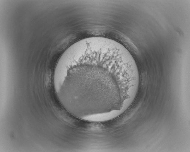 X0000115030073200911161515