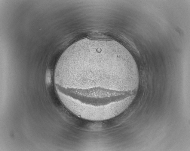 X0000115030075200911161515