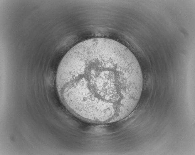 X0000115030078200911161515