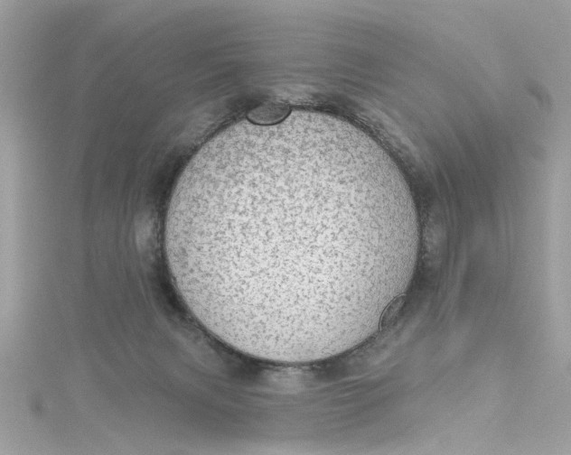 X0000115030079200911161515