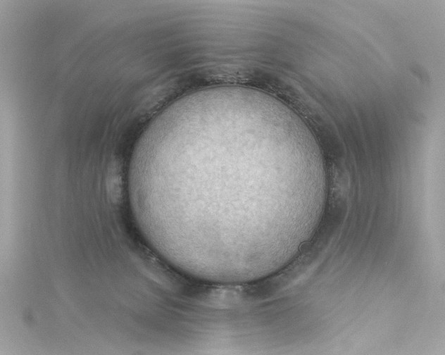 X0000115030080200911161515