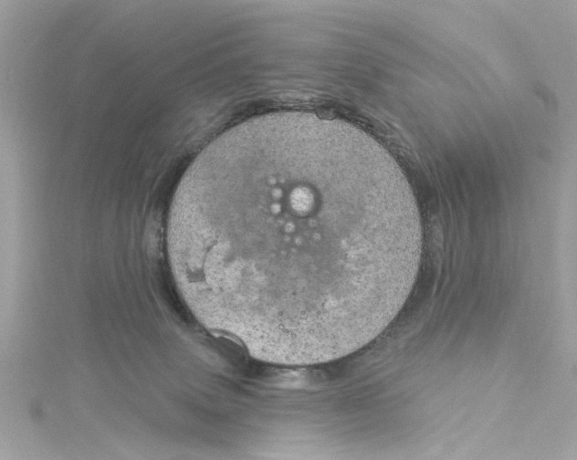 X0000115030083200911161515