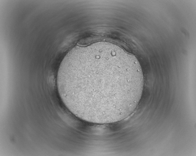 X0000115030086200911161515