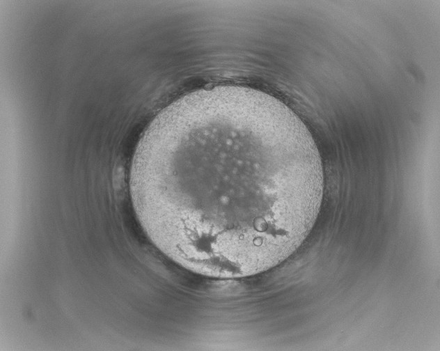 X0000115030087200911161515