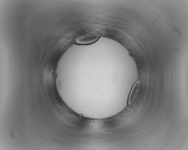 X0000115030088200911161515