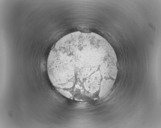 X0000115030090200911161515