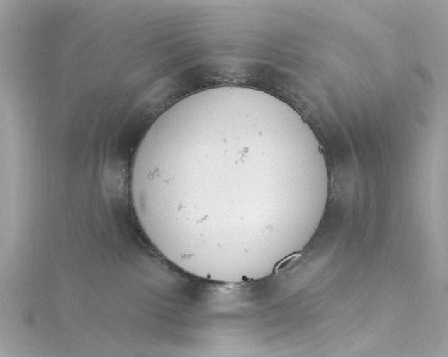 X0000115030092200911161515