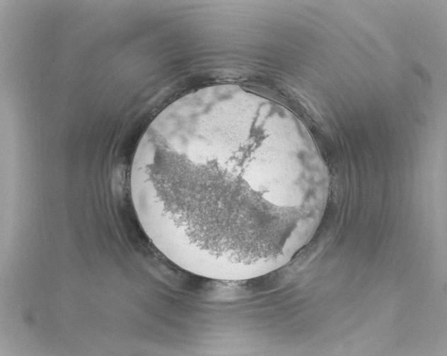 X0000115030093200911161515