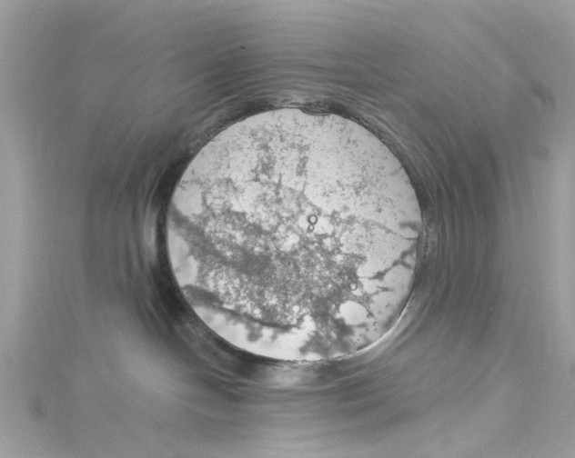 X0000115030094200911161515