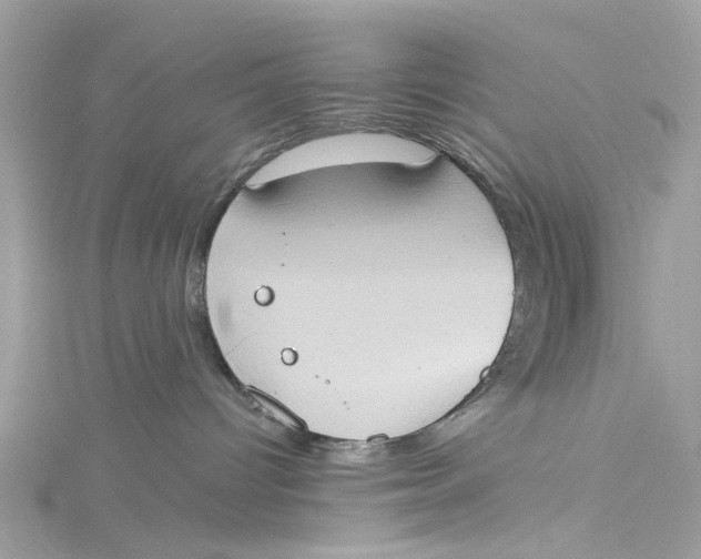 X0000115030096200911161515