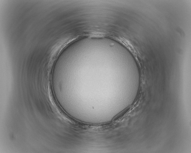 X0000115030097200911161515