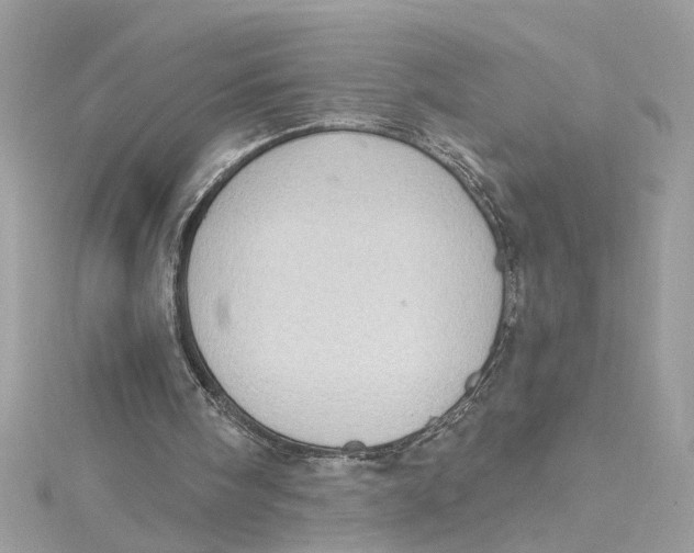 X0000115030098200911161515