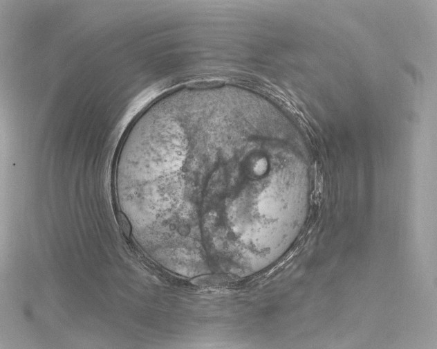 X0000115030099200911161515